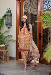 DHANAK PREMIUM LAWN’24 | MUSTARD