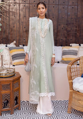 Zainab Zulfikar | Jahanara A