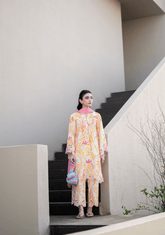 SOLIDS LAWN PRET'26 | HALO