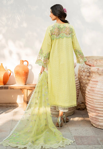 ZARQASH BELLE AME’24 | ZIANA