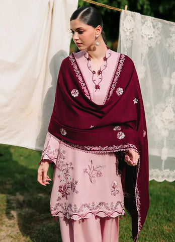 IMAGE UNSTITCHED WINTERKARI’26 | BERRYFROST