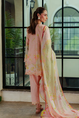 FLAIRS ‘LEENA SUMMER LOVE’26 | PEACH PAVLOVA