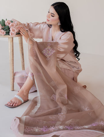 Shazia Rauf | Amal