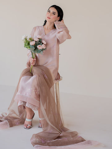 Shazia Rauf | Amal