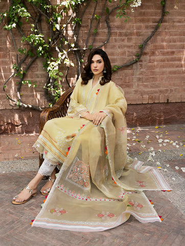SHAZIA RAUF KHAN ‘JAAN E ADAA’ | NIYAH