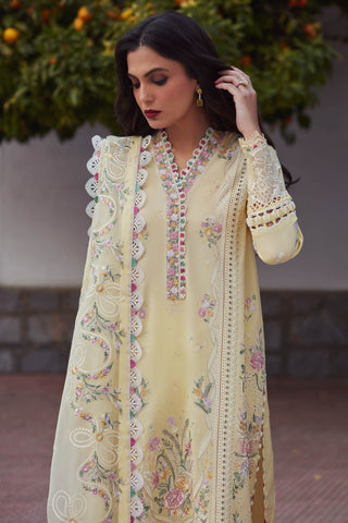 ELAN UNSTITCHED LAWN’24 | ZENEL