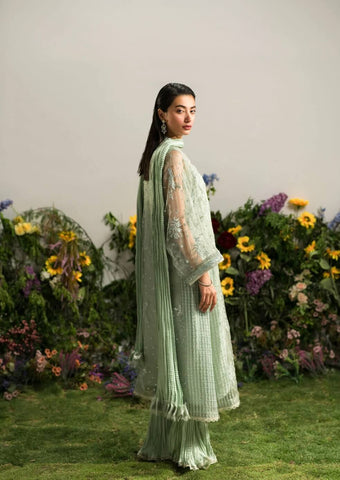 AMMARA KHAN LILY’24 | MINTY CRUSHED SET