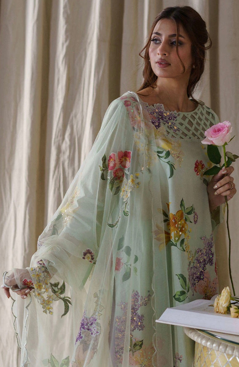 Farida Hasan | Aqua Lilly
