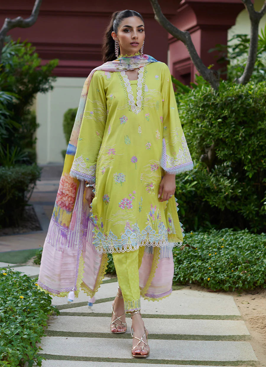 FARAH TALIB AZIZ - SUAY LAWN’24 | KELAYA KESI