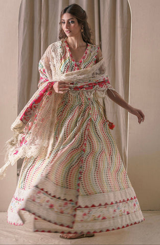 Farida Hasan | Carnival