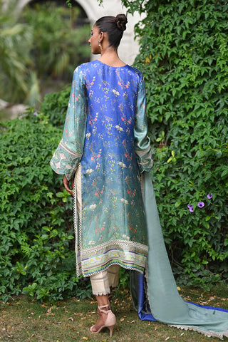 Nadia Farooqui | Amber Sky