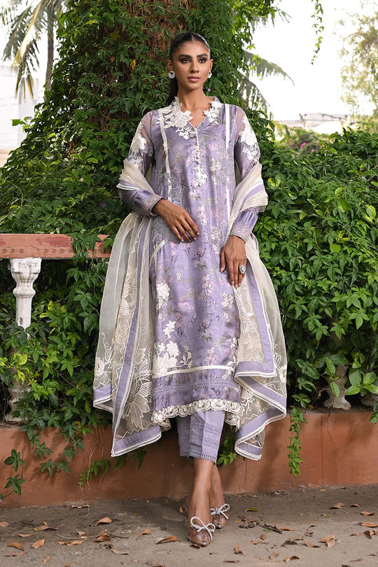 Nadia Farooqui | Dara