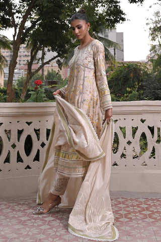 Nadia Farooqui | Yasmin