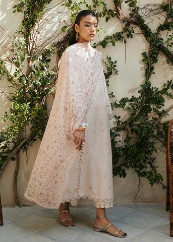SUFFUSE BASICS SPRING SUMMER’24 | AASIRA