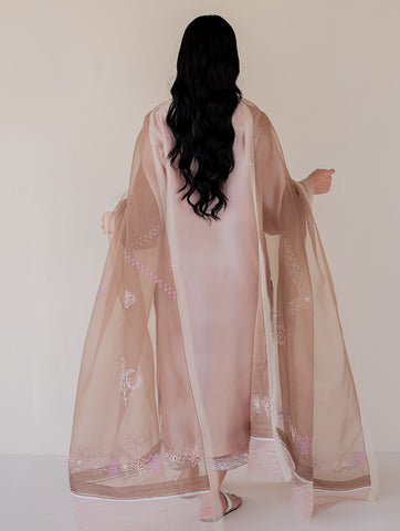 Shazia Rauf | Amal