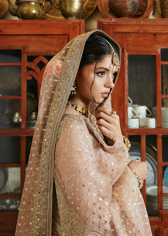 Kanwal Malik | Hala