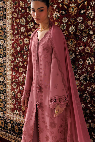QALAMKAR ‘QLINE LINEN’26 | DANIYA