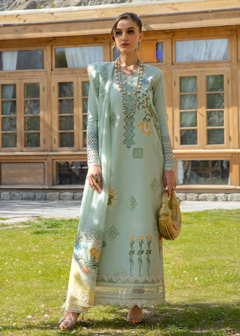 CRIMSON LAWN’24 | INTO THE WILD - AQUA