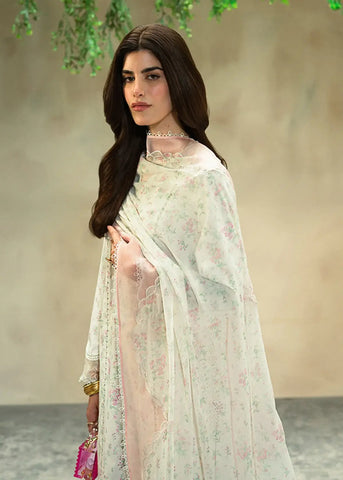 SUFFUSE BASICS SPRING SUMMER’24 | ESME