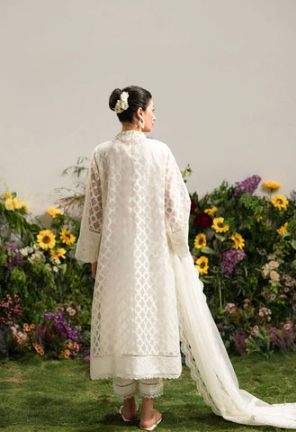AMMARA KHAN LILY’24 | CLASSIC PEARL