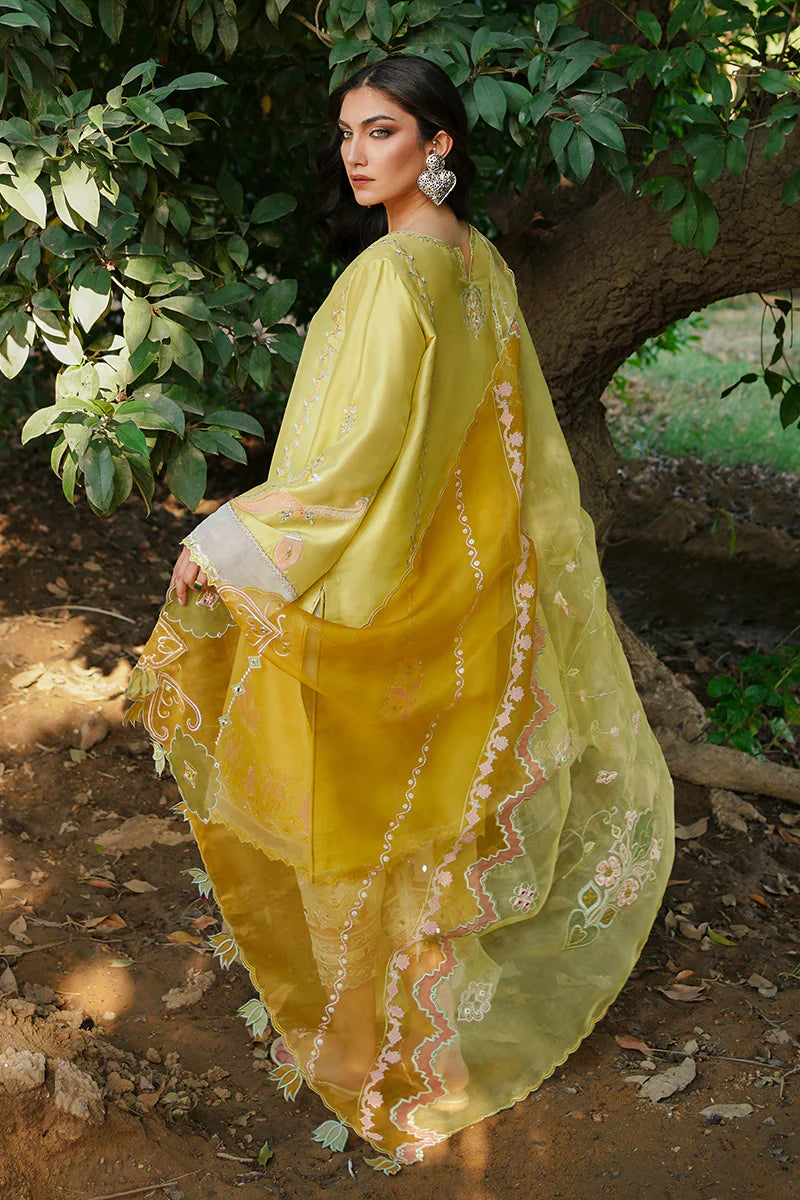 SUMAIRA KHANANI | HEER