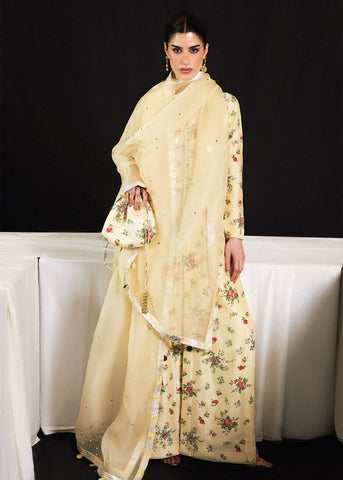 HUSSAIN REHAR LUXURY PRET'26 | VERA
