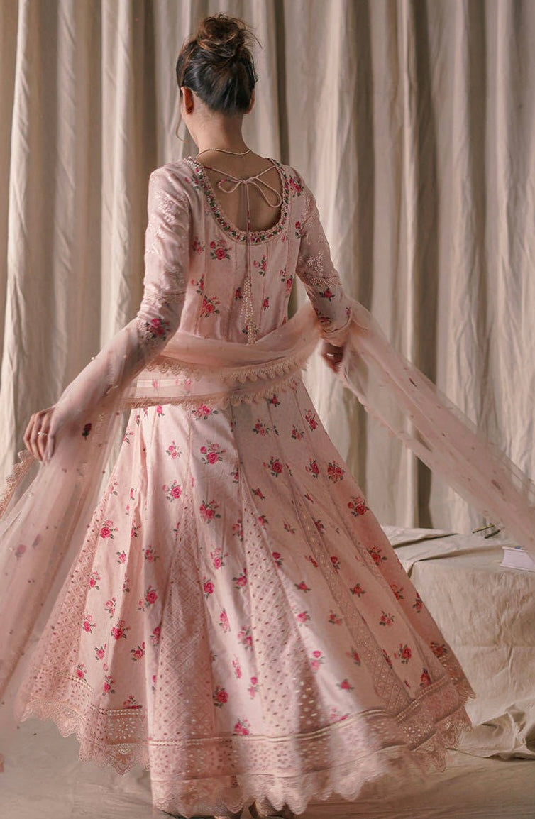Farida Hasan | Pink Rose