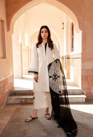 SOLIDS | INARA