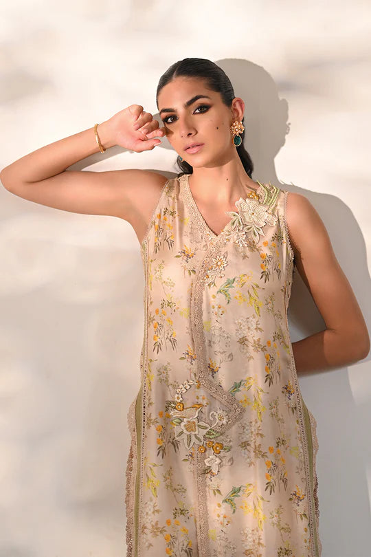 Nadia Farooqui | Willow Sage
