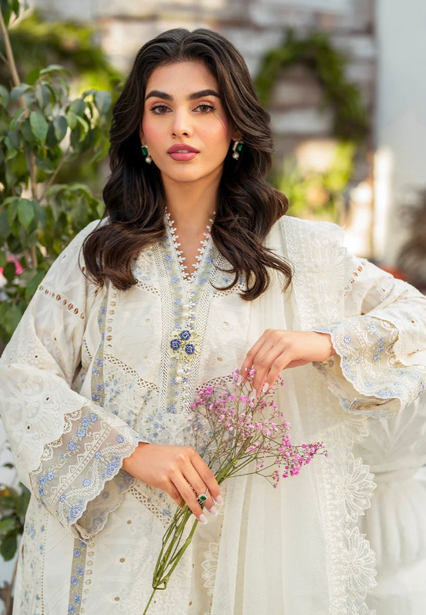 ZARQASH BELLE AME’24 | ROSETTES