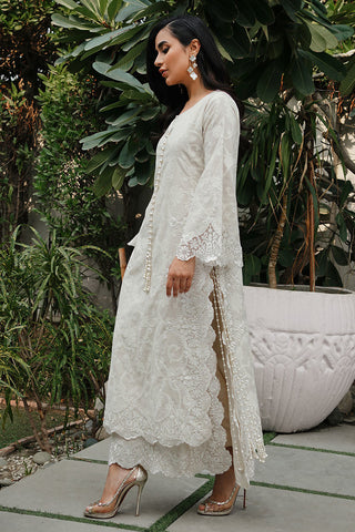 Sehrish Rehan | Olive