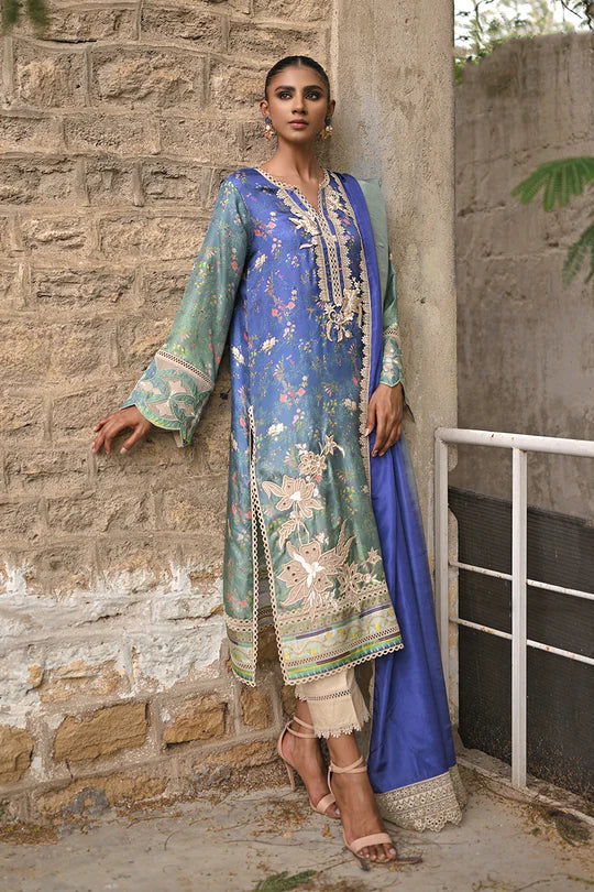 Nadia Farooqui | Amber Sky