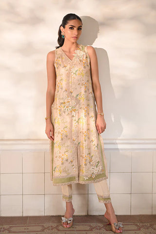 Nadia Farooqui | Willow Sage