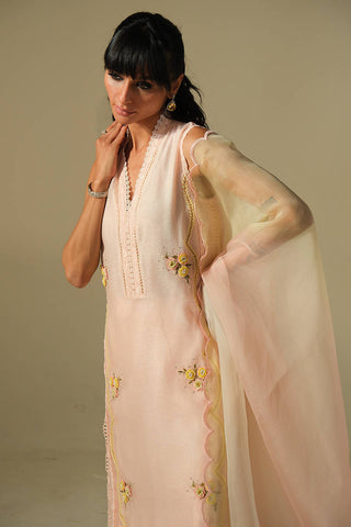 FARIDA HASAN ‘DHOOP LUXURY PRET’26 | PINK LEMONADE
