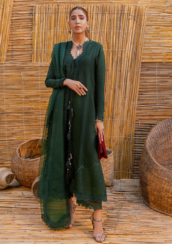 Zainab Zulfikar | Layaan B