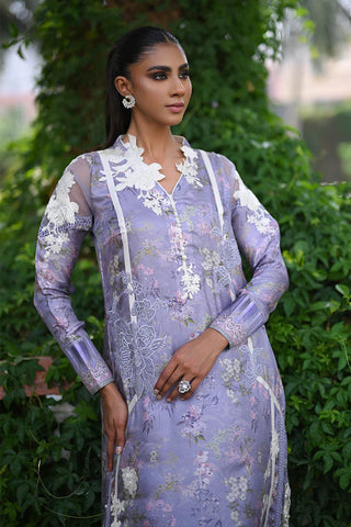 Nadia Farooqui | Dara