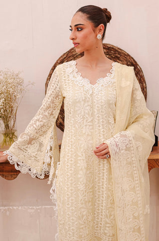 SEHRISH REHAN FRSTIVE FORMALS’24 | FARIHA