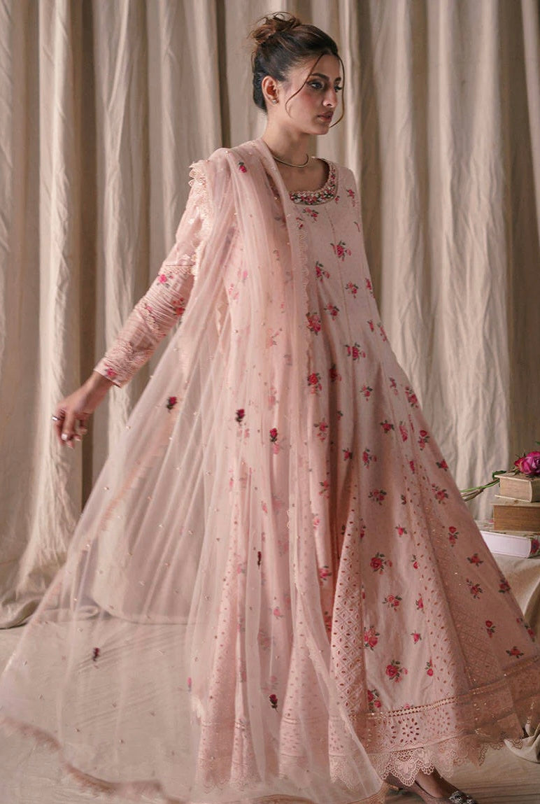 Farida Hasan | Pink Rose