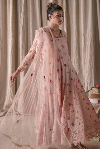 Farida Hasan | Pink Rose