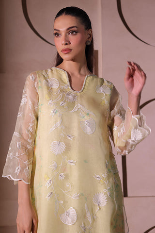 UZMA & AFSHEEN ‘CELEBRATION WEAR’26 | DAFFODILS
