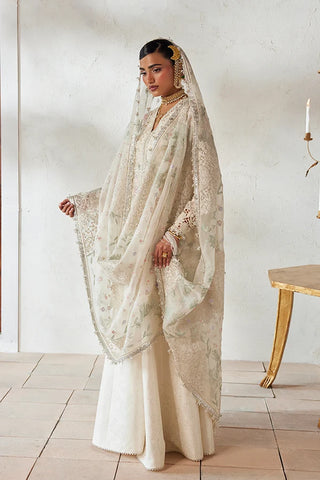 SUFFUSE FREESHIA RTW’26 | ROSHA