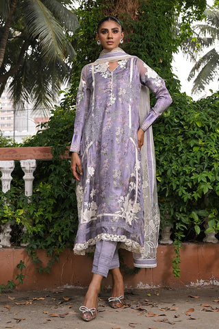 Nadia Farooqui | Dara