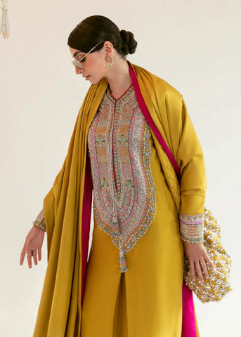 Hussain Rehar | Ster