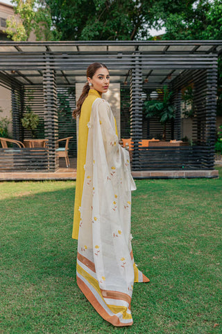 Barae khanom | Marygold