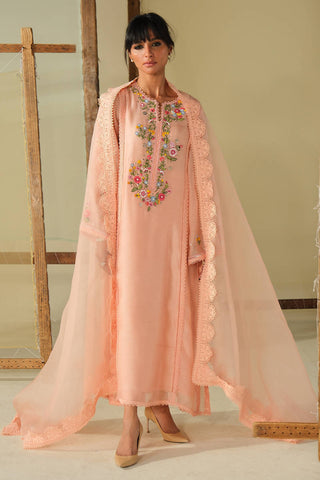 FARIDA HASAN ‘DHOOP LUXE PRET’26 | PEACH BLOSSOM SET