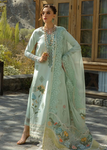CRIMSON LAWN’24 | INTO THE WILD - AQUA
