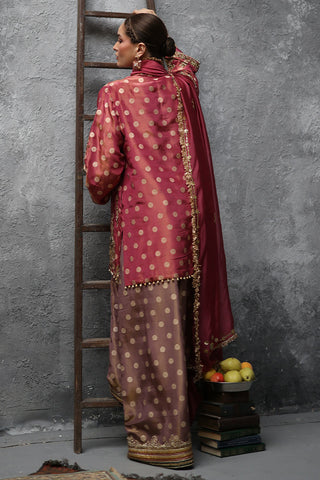 ROZINA MUNIB ‘LASHKARA FESTIVE COUTURE’26 | L26-15