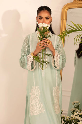 ANNUS ABRAR BASICS’24 | PERMIA