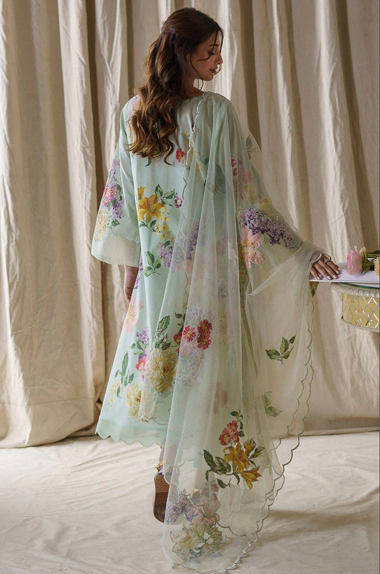 Farida Hasan | Aqua Lilly