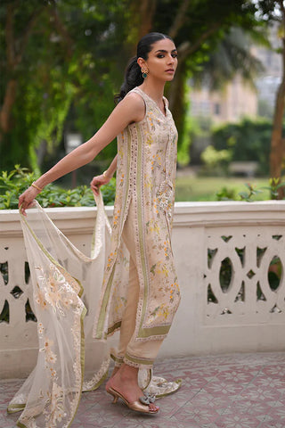 Nadia Farooqui | Willow Sage